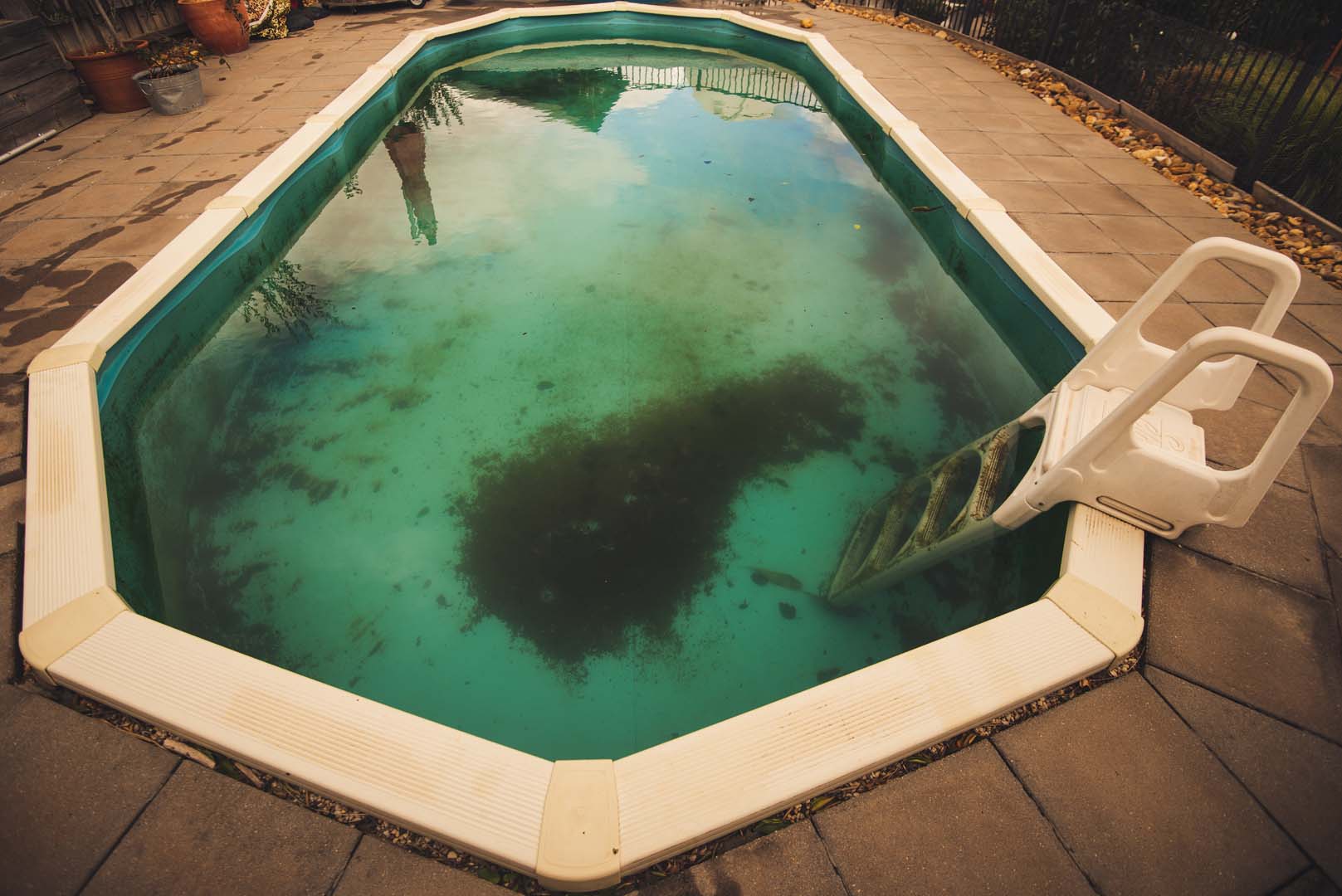 Pool maintenance expert adding phosphate remover to pool