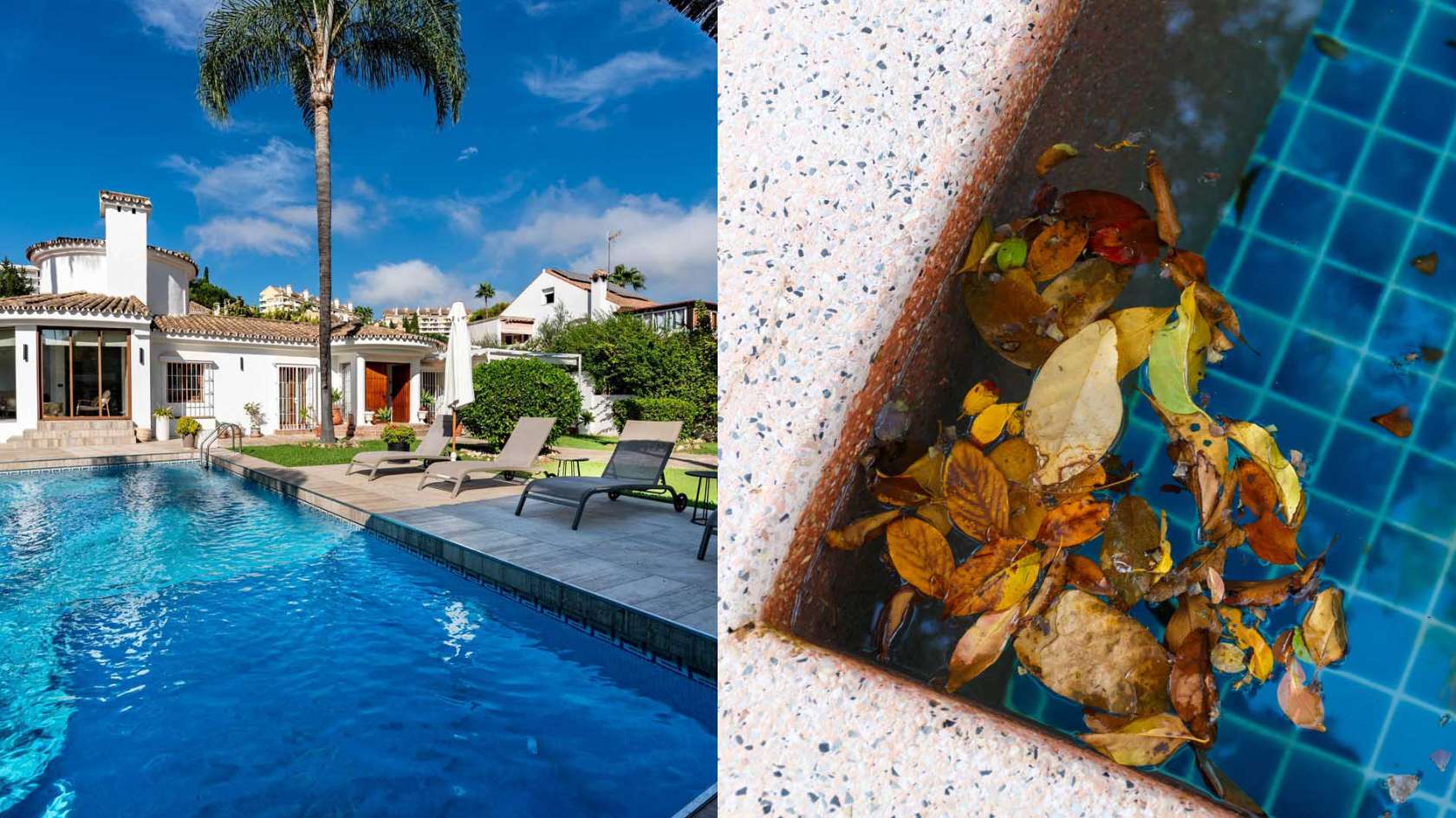 Split image of a pool in summer vs. fall with leaves and debris, showing seasonal differences.